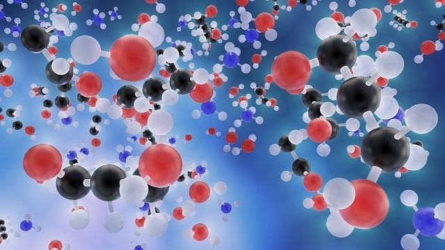 Minicurso 03 – Das Biomoléculas à Saúde da água: Biomarcadores Bioquímicos em Organismos Aquáticos