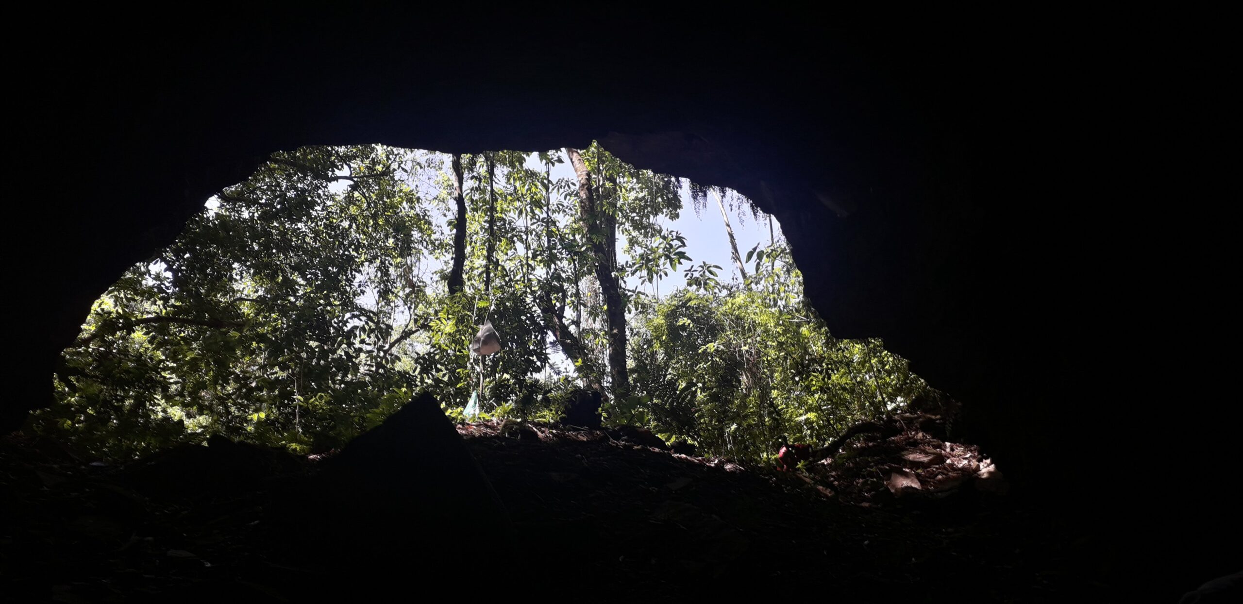 Fotografia naturalista - Naturalista
